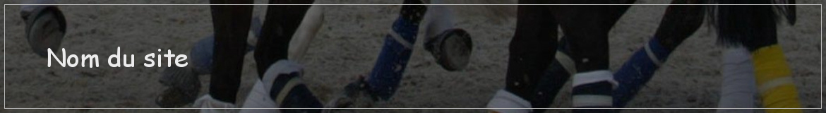 Nom du site